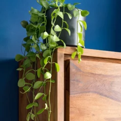 Colonne Salle De Bain TRANGLE 2 Portes -Domublis Soldes Magasin 1000292023 230726 031 DETAILS P000000001000292023