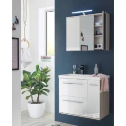 Meuble Avec Vasque Crown 11 Meuble Avec Vasque Crown -Domublis Soldes Magasin 1000366108 220811 021 MOOD DETAILS P000000001000366108 mood